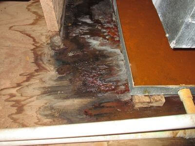 About Gold Standard Water Damage - water damage restoration experts in Valley, AL